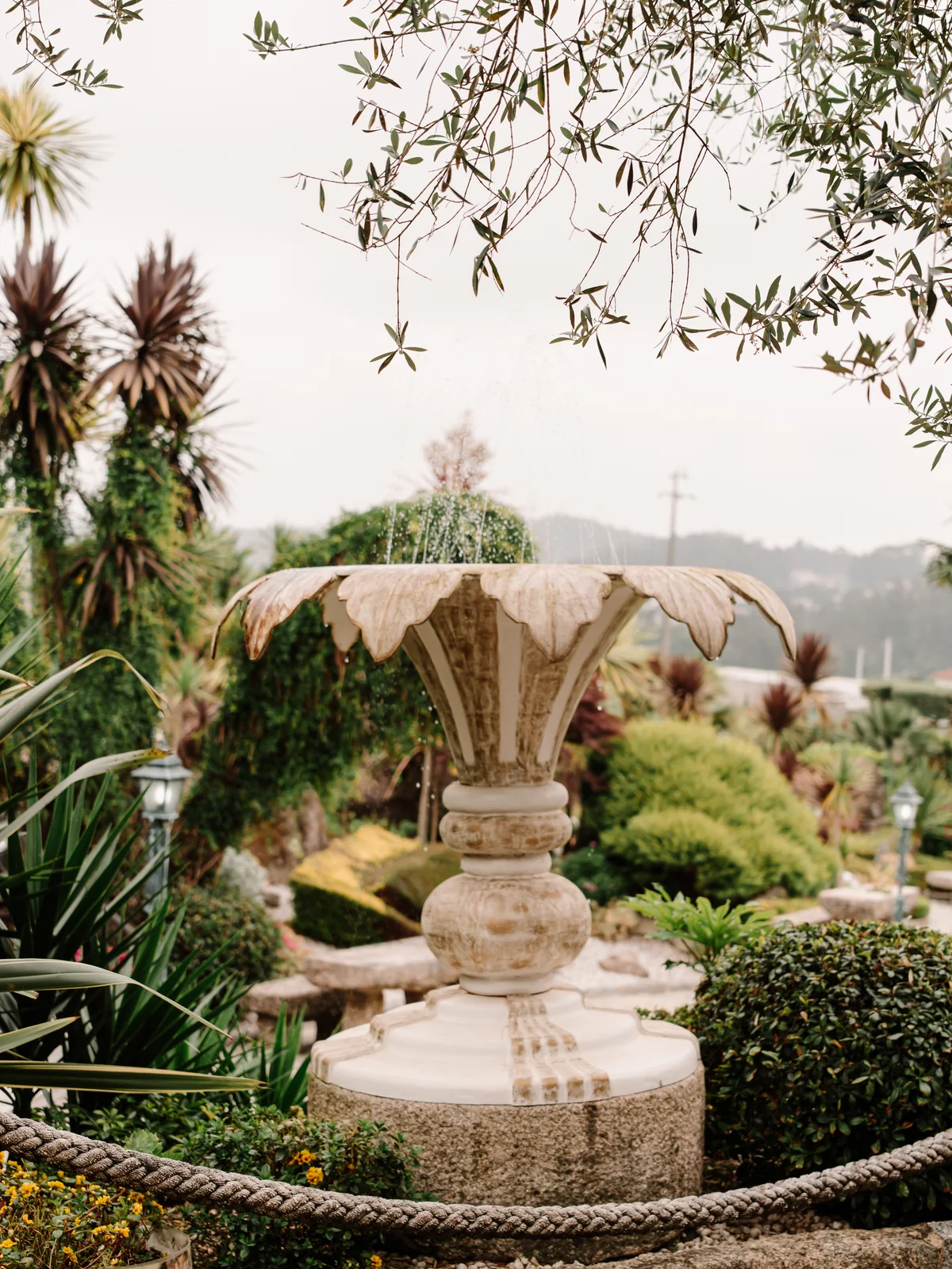 Fragmento 7 dos jardins e espaços da Quinta do Ribeiro